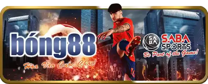 Phân tích chiến lược cá cược thể thao